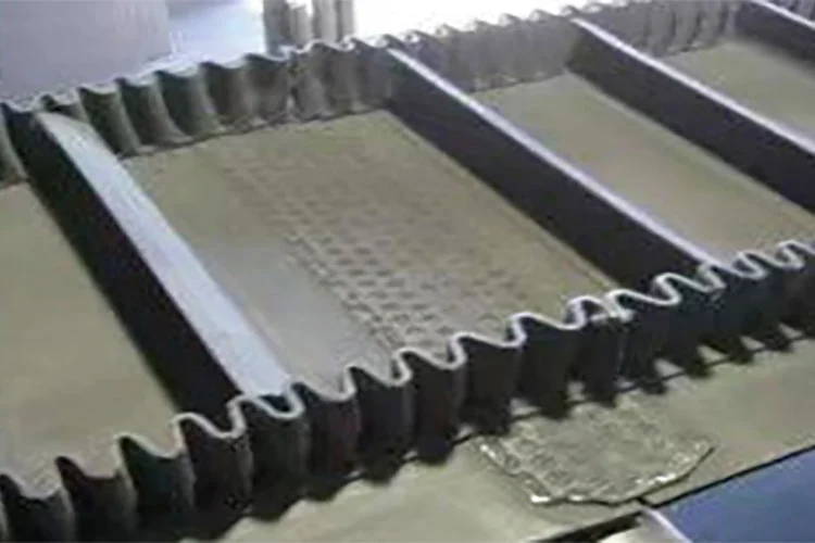Conveyor Belt Fast Screw